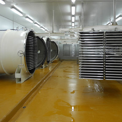 Mehrfunktionale automatische Maschine der Gefriertrocknungs-500kg
