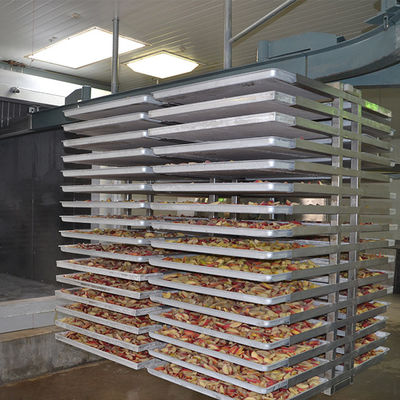 Mehrfunktionale automatische Maschine der Gefriertrocknungs-500kg
