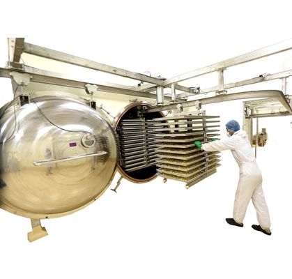 Maschine der Gefriertrocknungs-1000kg