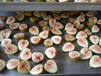 Vakuumedelstahl-industrielle gefriertrocknete Frucht-Maschine