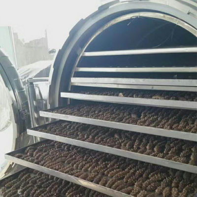 Vakuumedelstahl-industrielle gefriertrocknete Frucht-Maschine