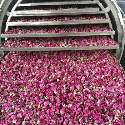 Vakuumedelstahl-industrielle gefriertrocknete Frucht-Maschine